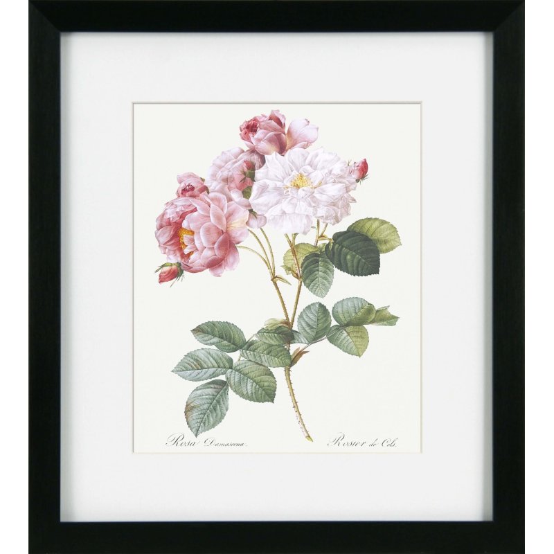 Camelot Vintage Florals I