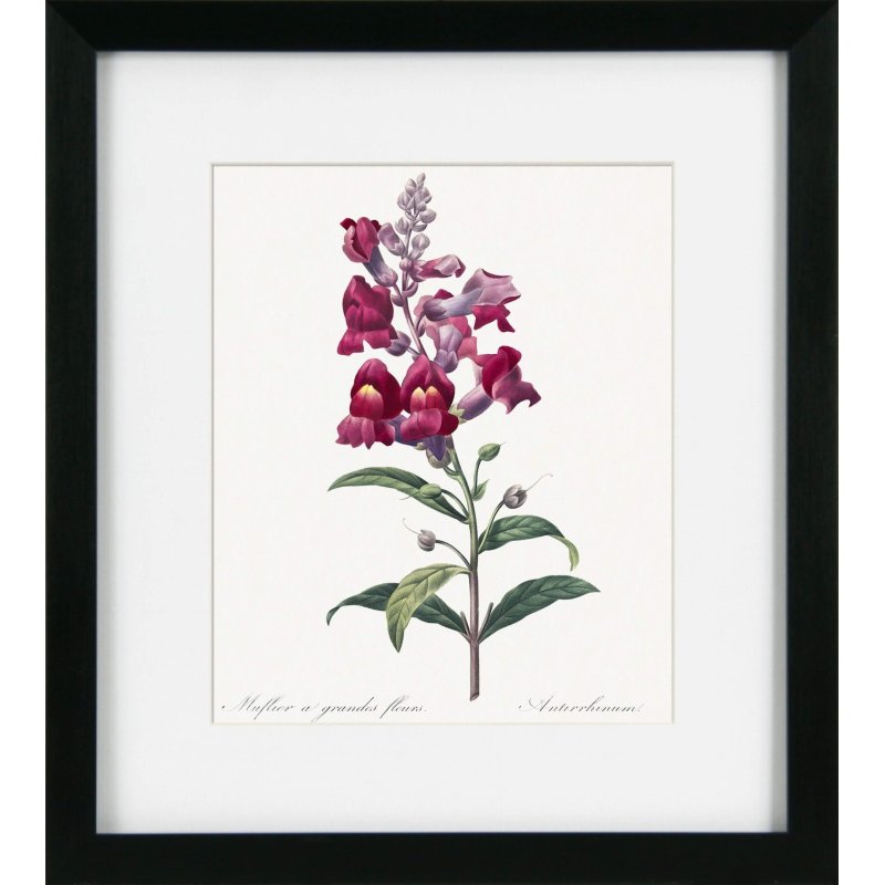 Camelot Vintage Florals II