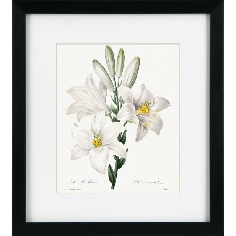 Camelot Vintage Florals VIII
