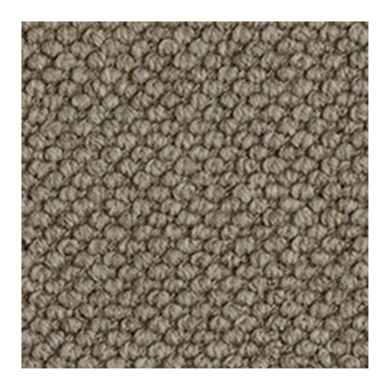Westex Butterwick Wool Loop Carpet Carpet in Koala