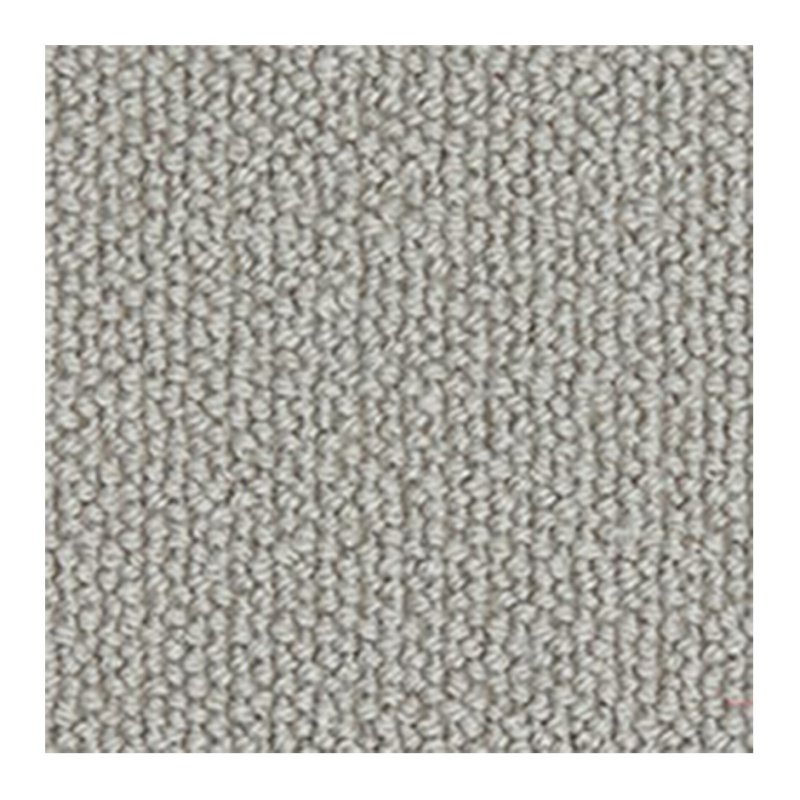Westex Briar Natural Loop Carpet in Pewter