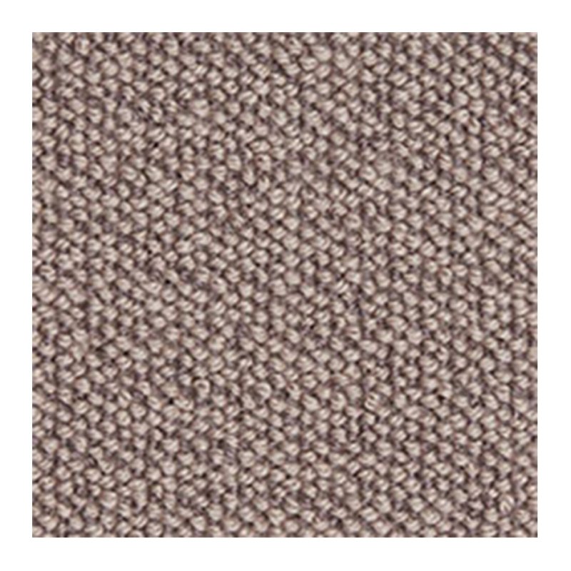 Westex Briar Natural Loop Carpet in Rum And Raisin