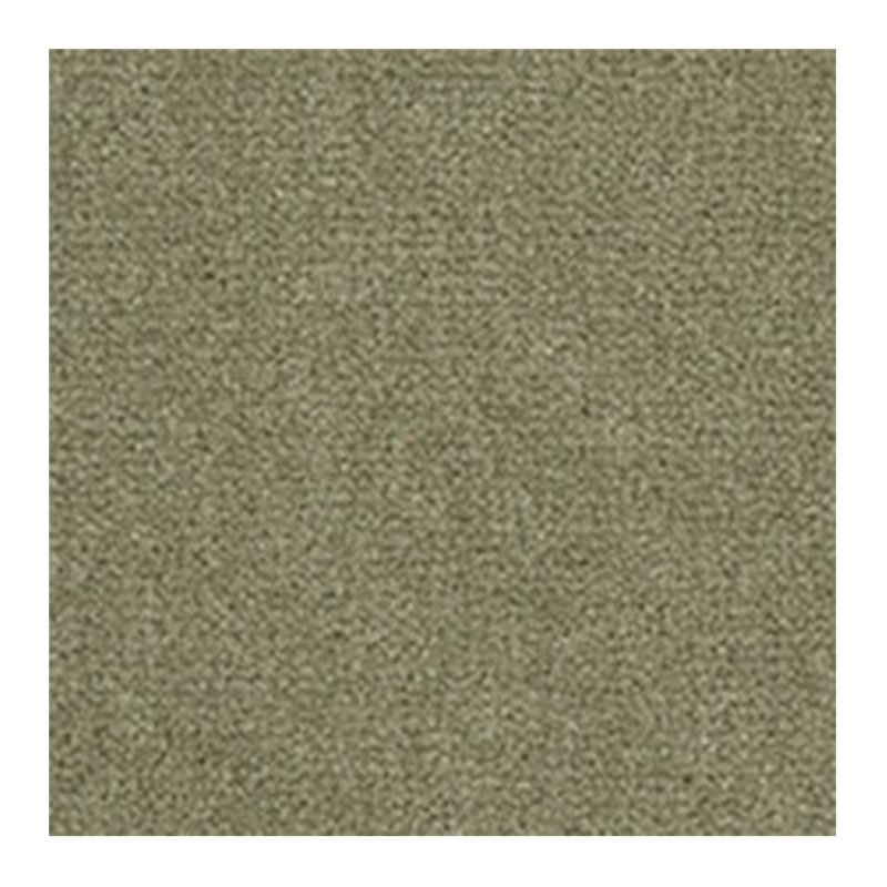 Westex Westend Velvet Carpet in Asparagus