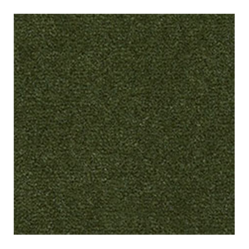 Westex Westend Velvet Carpet in Avocado