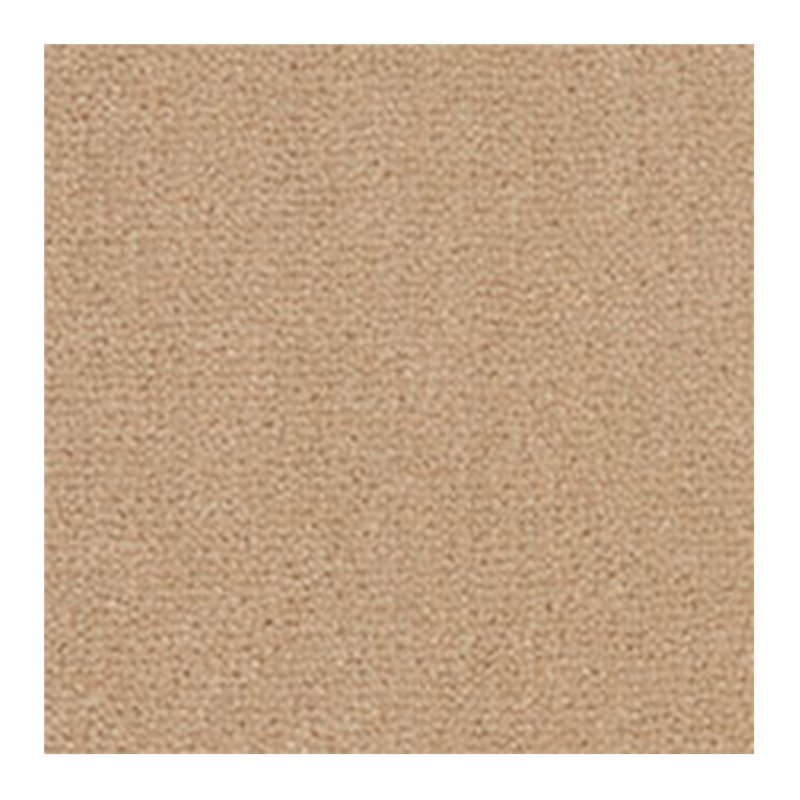 Westex Westend Velvet Carpet in Champagne