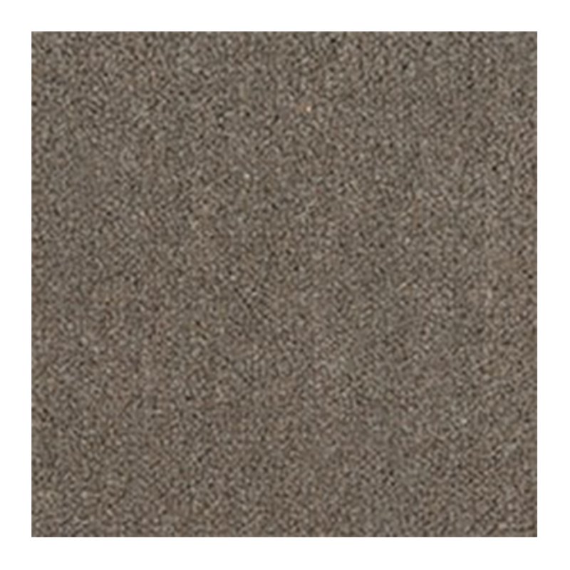 Westex Westend Velvet Carpet in Flint