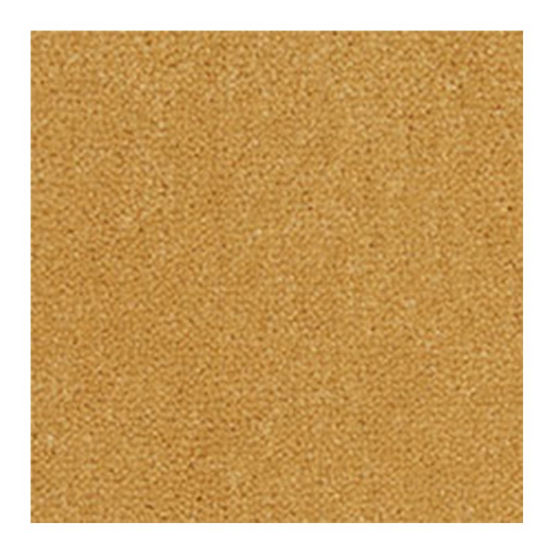 Westex Westend Velvet Carpet in Mead