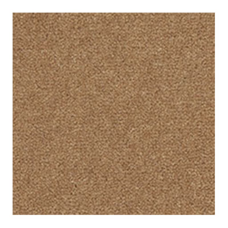 Westex Westend Velvet Carpet in Moccasin