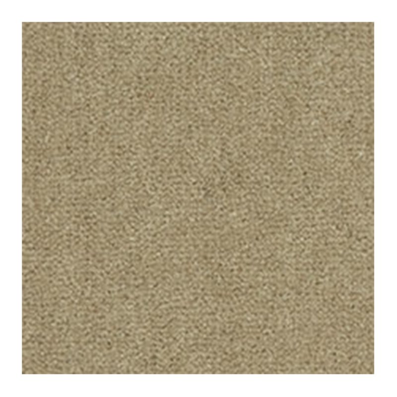Westex Westend Velvet Carpet in Moss