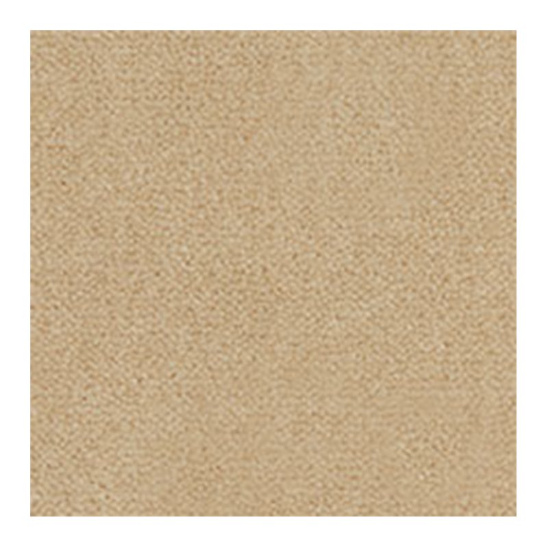 Westex Westend Velvet Carpet in Panama
