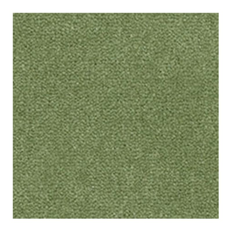 Westex Westend Velvet Carpet in Reseda