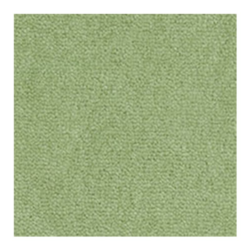 Westex Westend Velvet Carpet in Rosemary