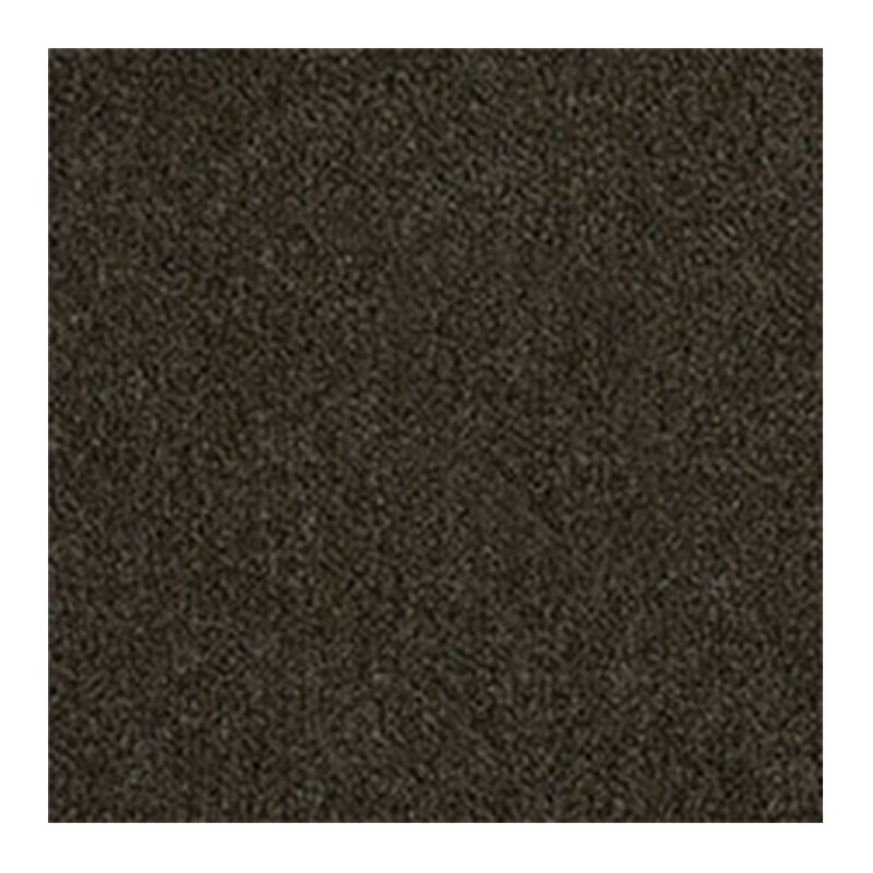 Westex Westend Velvet Carpet in Saddle