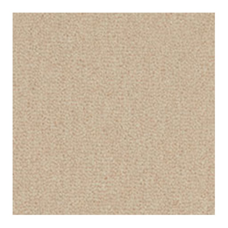 Westex Westend Velvet Carpet in Seashell