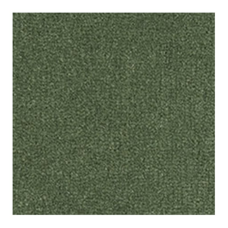 Westex Westend Velvet Carpet in Spruce