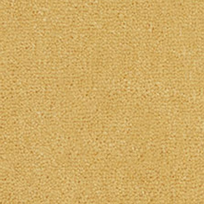 Westex Westend Velvet Carpet in Turmeric