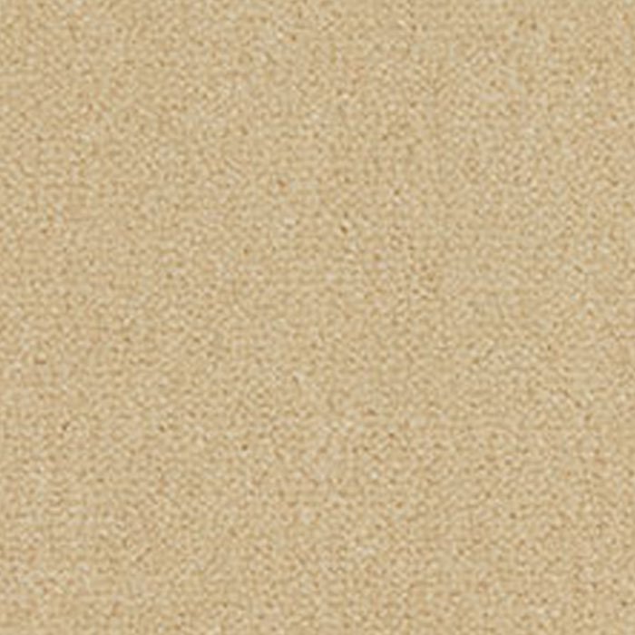 Westex Westend Velvet Carpet in Vanilla