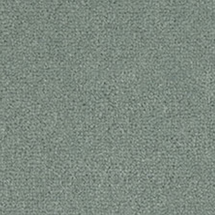 Westex Westend Velvet Carpet in Zircon