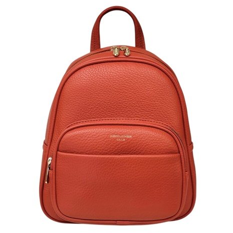 David Jones Backpack Burnt Orange