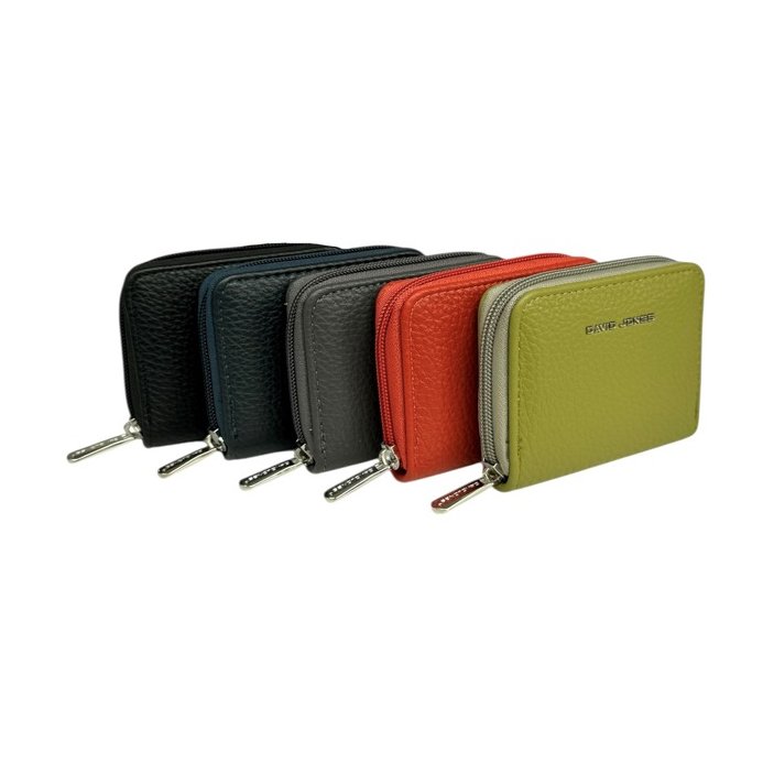 David Jones Small Purse Assorted