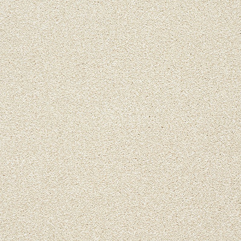 Norfolk Stainfree Twist Carpet in Ceramic