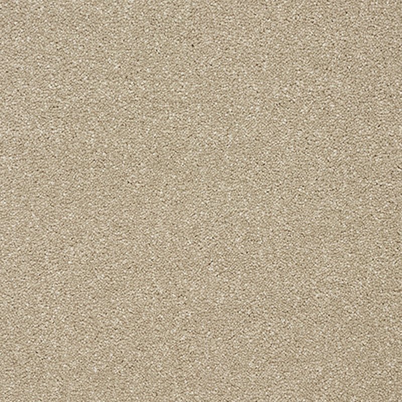 Norfolk Stainfree Twist Carpet in Dark Ecru