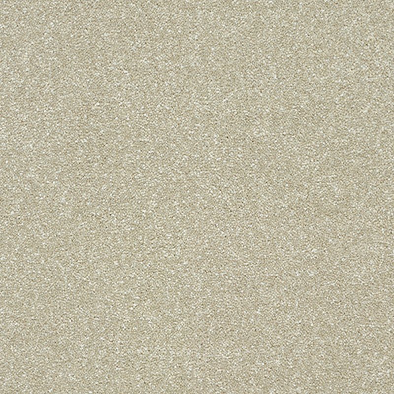 Norfolk Stainfree Twist Carpet in Dove