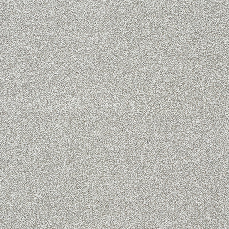 Norfolk Stainfree Twist Carpet in Feather