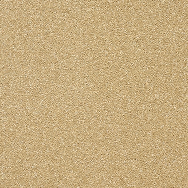 Norfolk Stainfree Twist Carpet in Honey Gold