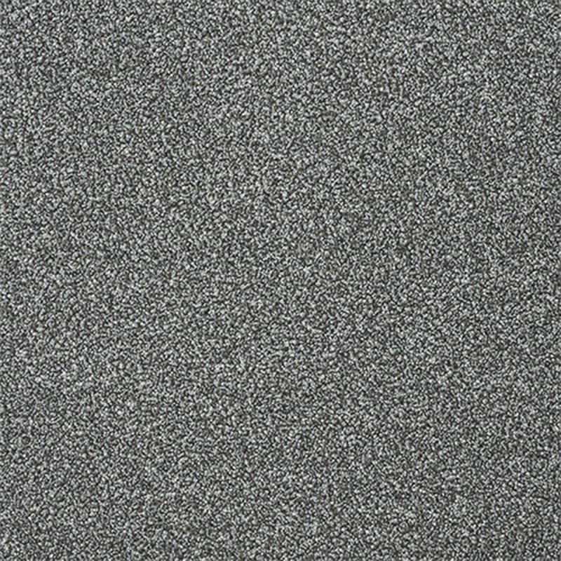 Norfolk Stainfree Twist Carpet in Fossil