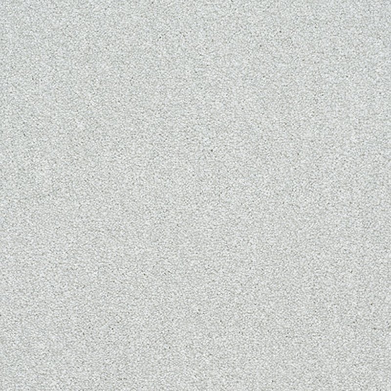 Norfolk Stainfree Twist Carpet in Ice Crystal