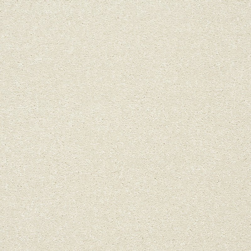 Norfolk Stainfree Twist Carpet in Pearl