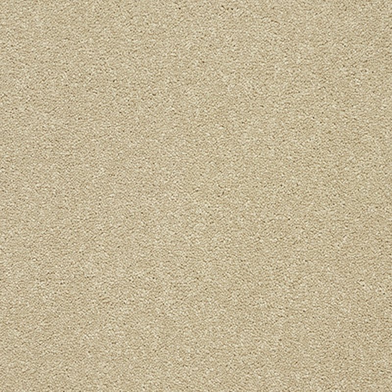 Norfolk Stainfree Twist Carpet in Timeless