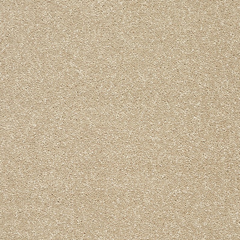 Norfolk Stainfree Twist Carpet in Twisted Cotton