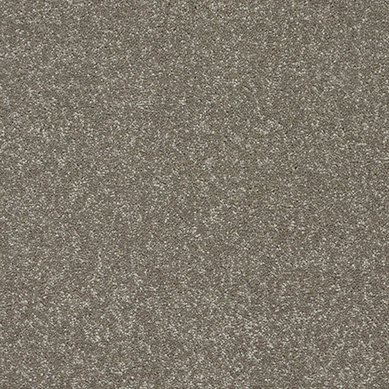 Norfolk Stainfree Twist Carpet in Velvet Crush