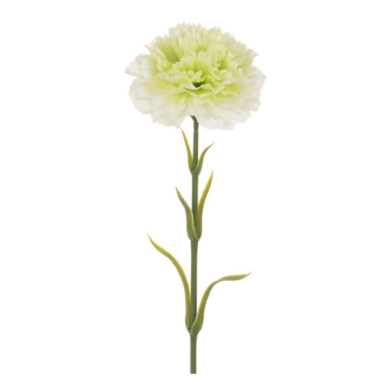 Floralsilk Carnation Stem Green