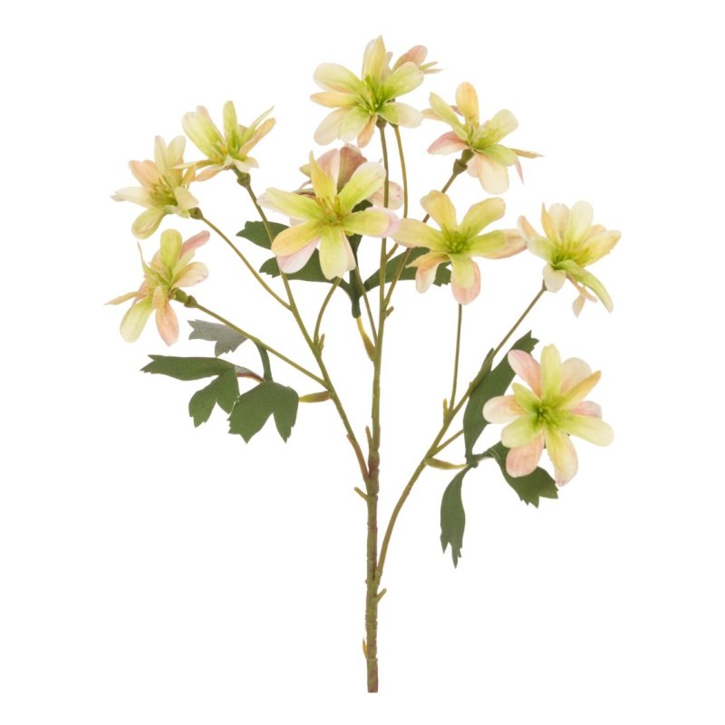 Floralsilk Balkan Anemone