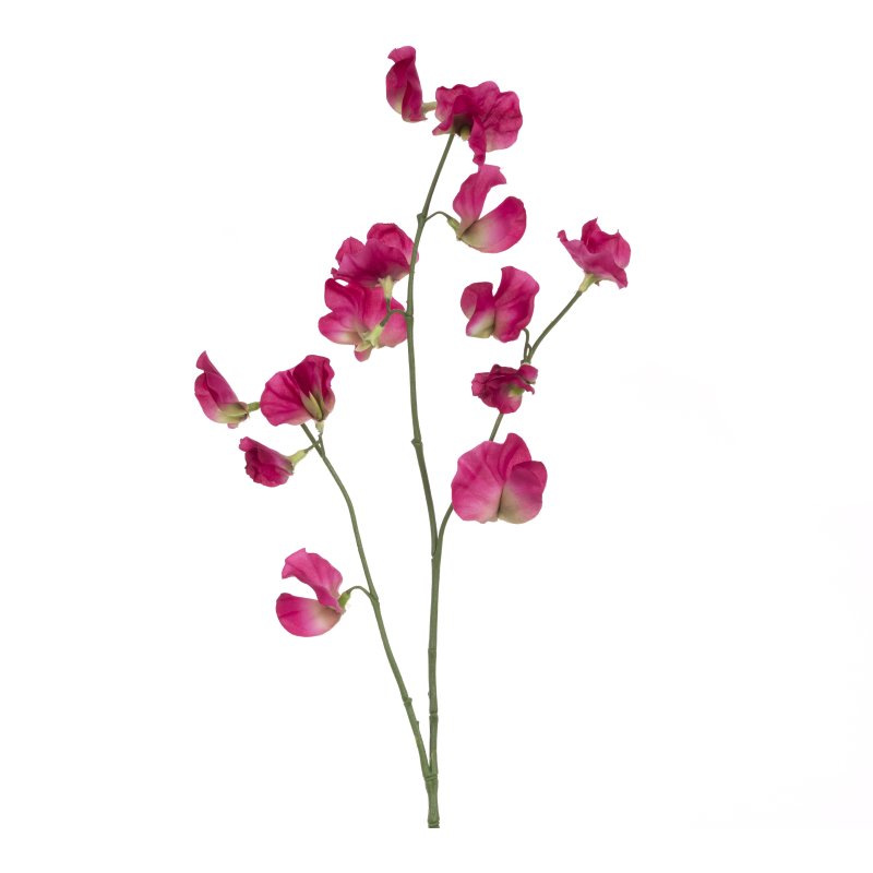 Floralsilk Sweet Pea Spray Deep Pink