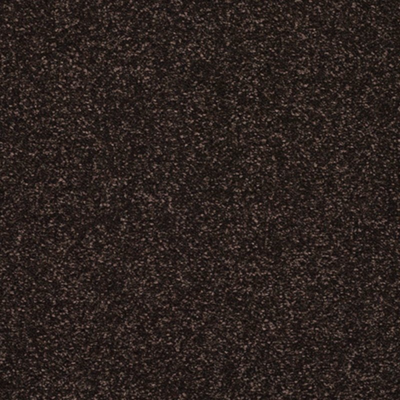 Norfolk Incredible Chic Carpet in Bourneville