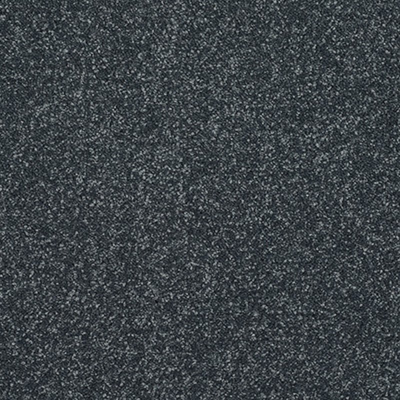 Norfolk Incredible Chic Carpet in Ebony