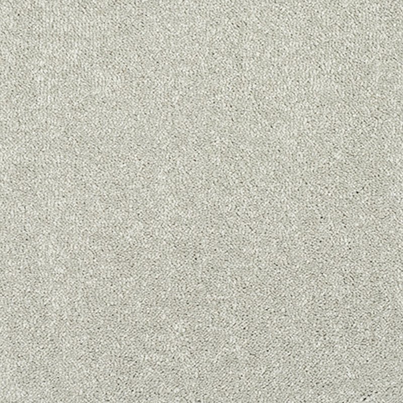 Norfolk Incredible Chic Carpet in Suede