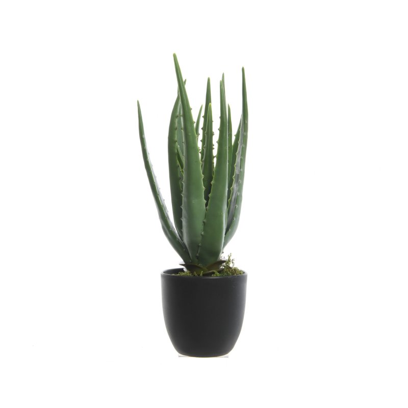 Kaemingk Faux Potted Aloe Vera