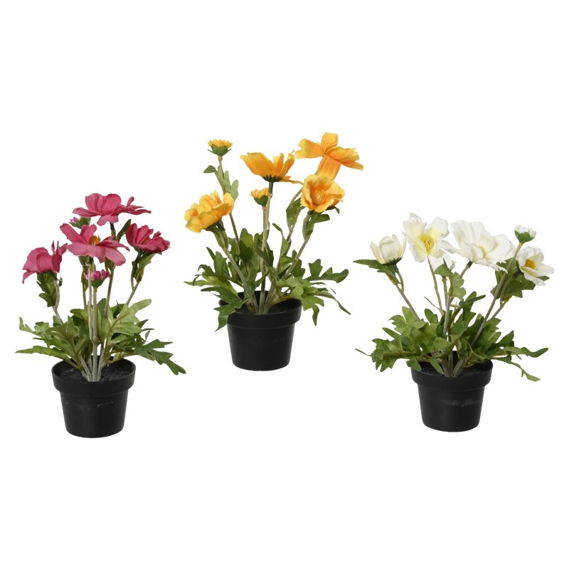 Kaemingk Potted Daisy