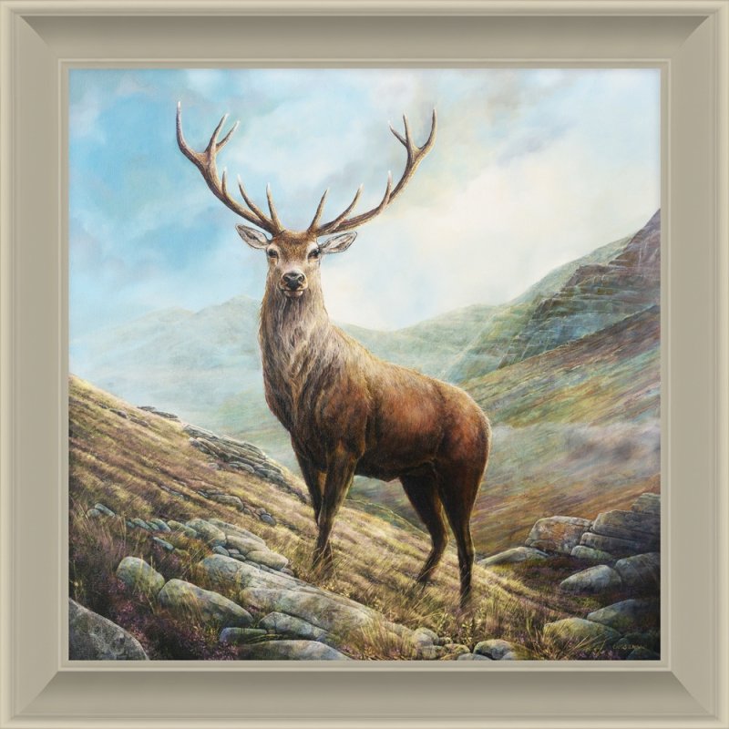 Artko Artko Grace Of The Glen Framed Print