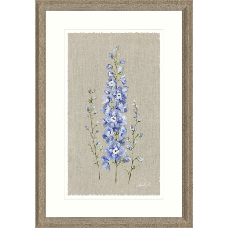 Artko Artko Delphiniums Framed Print