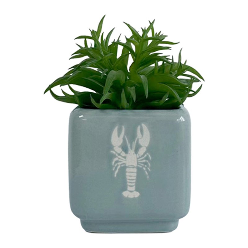 Candlelight Sardines Succlent In A Pot