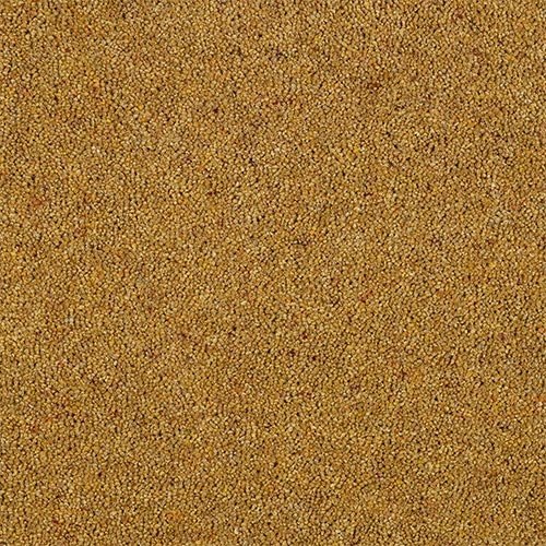 Norfolk Kilbrin Tweed Carpet in Mustard
