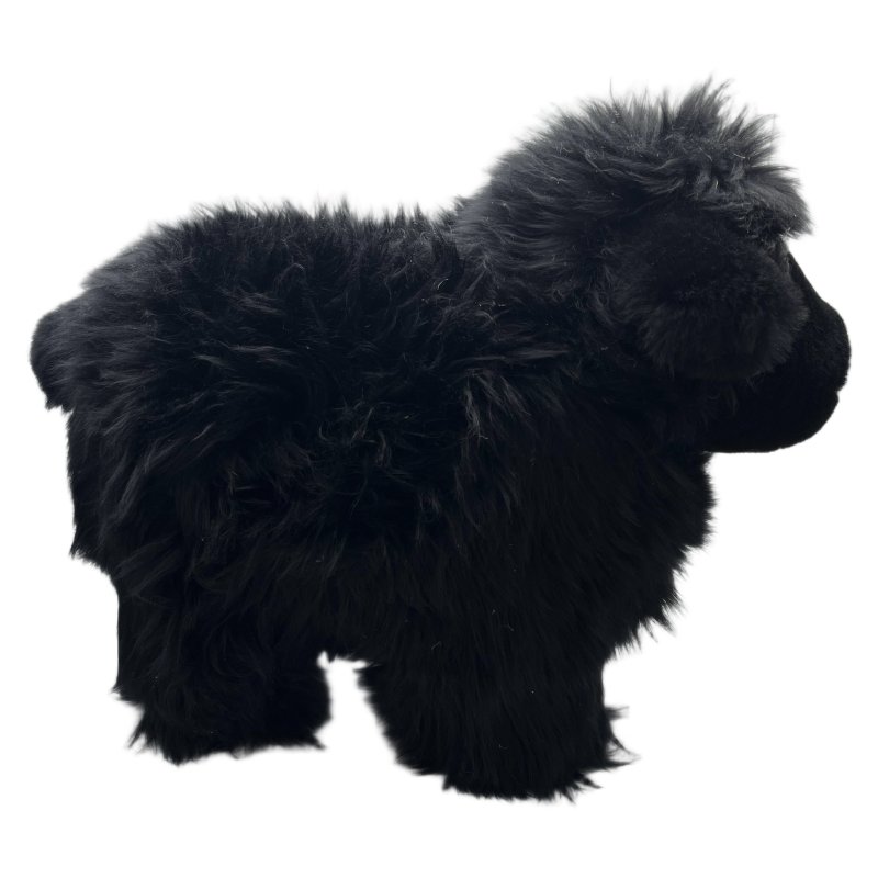 Lucky Sheep Black