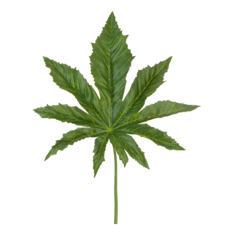 Floralsilk Aralia Leaf