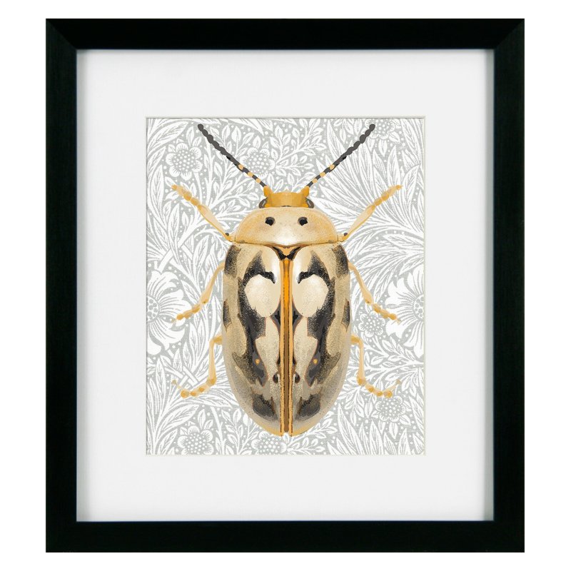 Camelot Beetles & Butterflies III